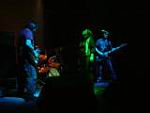 bellinilive_vrinterzona_20112004_12.JPG