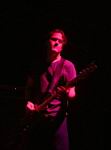 bellinilive_vrinterzona_20112004_30.JPG