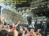rockinidro20050902_turbonegro_13.jpg