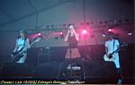 pl_190903_boestragon_01.jpg