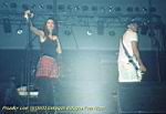 pl_190903_boestragon_06.jpg