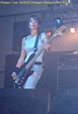 pl_190903_boestragon_07.jpg