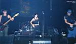 21102004_mi_p_rollingstone_rico07.JPG