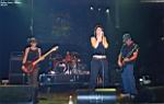 21102004_mi_p_rollingstone_rico09.JPG