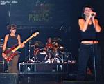 21102004_mi_p_rollingstone_rico10.JPG